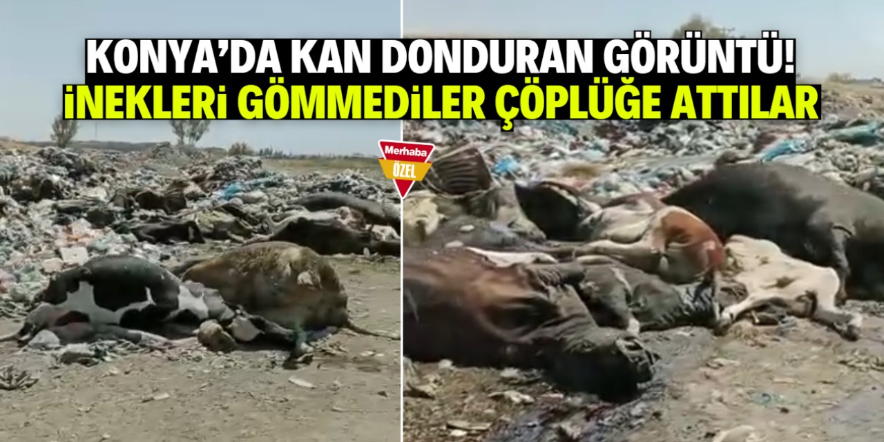 Et fiyatlarının neden yükseldiği belli oldu! Konya'da kan donduran olay
