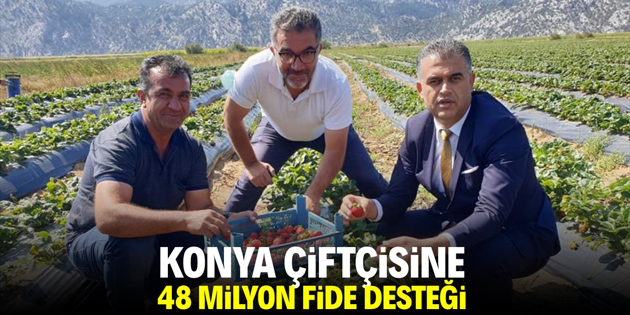 Konya çiftçisine 48 milyon fide desteği