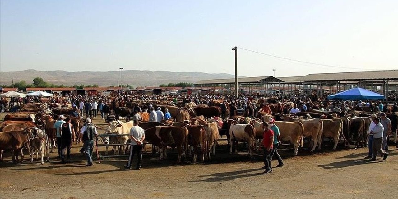 Kapatılan hayvan pazarları açılıyor