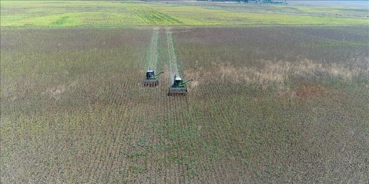 İşlenmeyen tarım arazileri kiralanacak