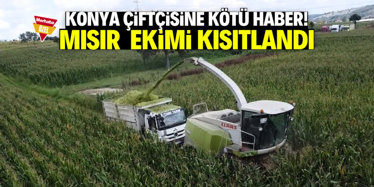 Konya çiftçisine kötü haber! Bu 19 ilçede mısır ekimi kısıtlandı