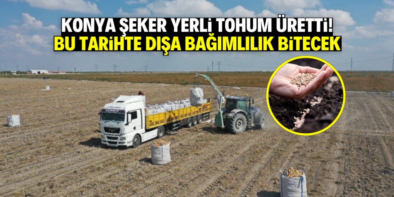 Konya Şeker yerli ve milli tohum üretti! Bu tarihte dışa bağımlılık bitecek
