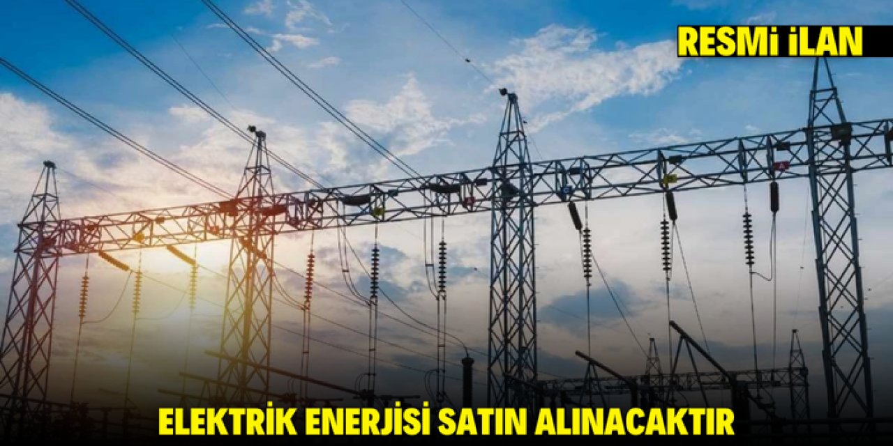 ELEKTRİK ENERJİSİ SATIN ALINACAKTIR