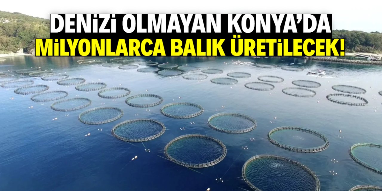 Denizi olmayan Konya'da milyonlarca balık üretilecek! İşte o tesis