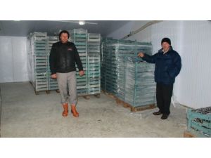 Rizeli Balıkçılar: Balık Fiyatları Artacak