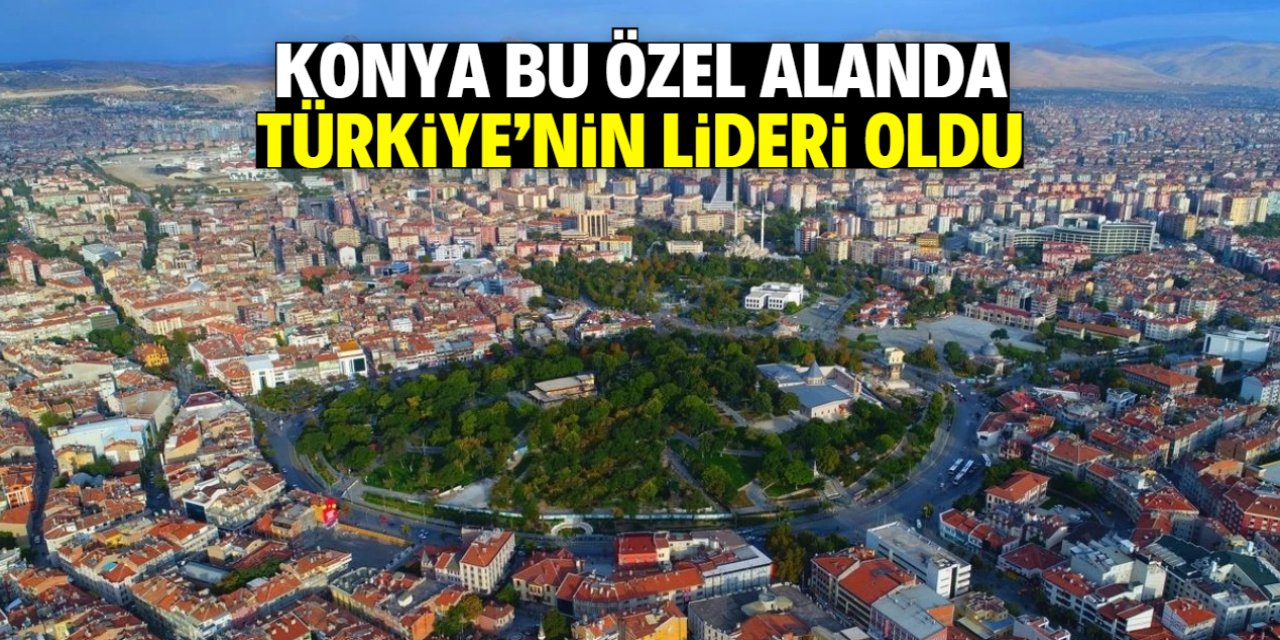 Konya bu özel alanda Türkiye'nin lider şehri oldu