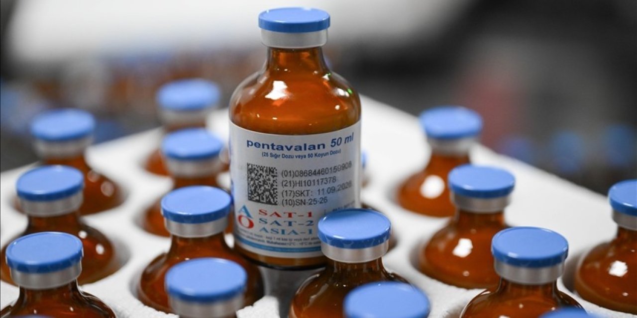 Şapa karşı 15 milyon doz aşı hazır