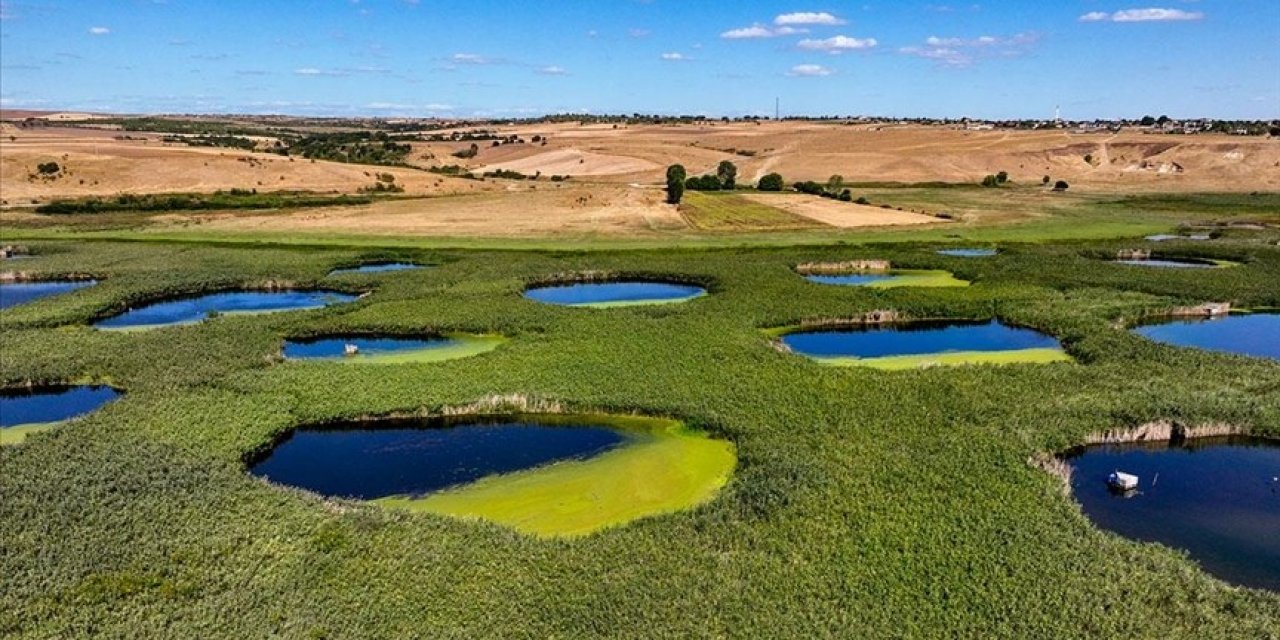 Kuraklığın etkilemediği yer yok