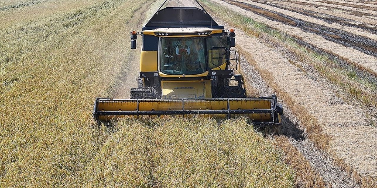 Tarım ve Orman Bakanı Yumaklı: Çeltikte 2025 yılı için 988 bin tonluk bir rekolte bekliyoruz