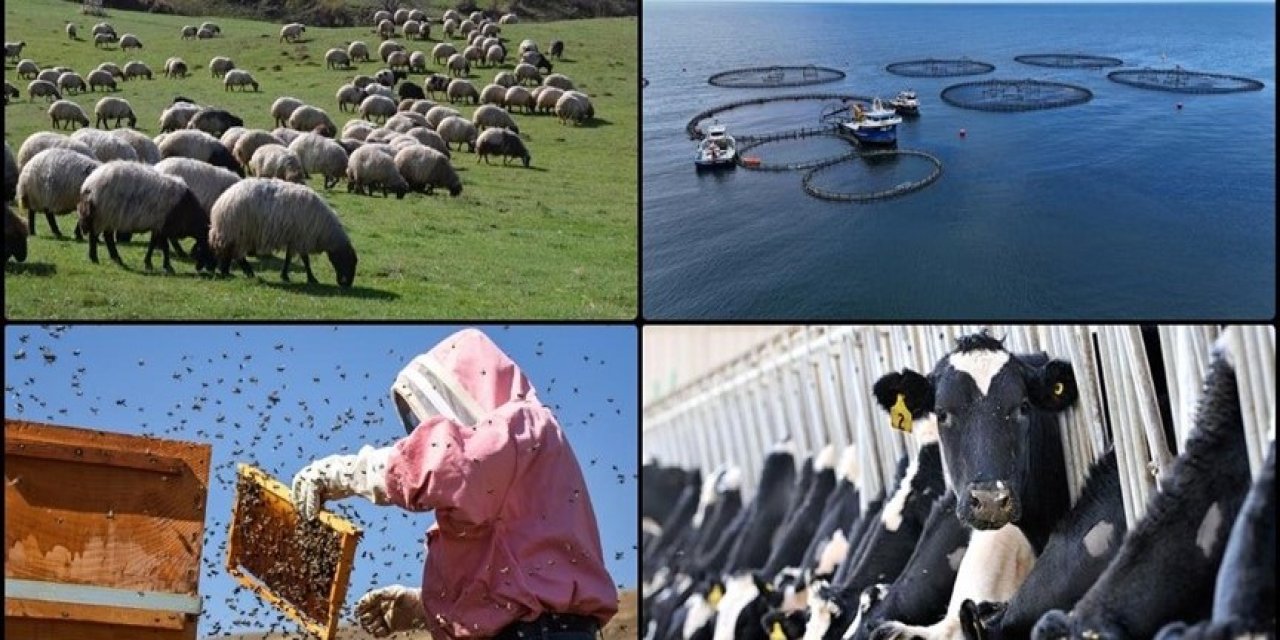 Hayvancılıkla ilgili destekleme fiyatları açıklandı