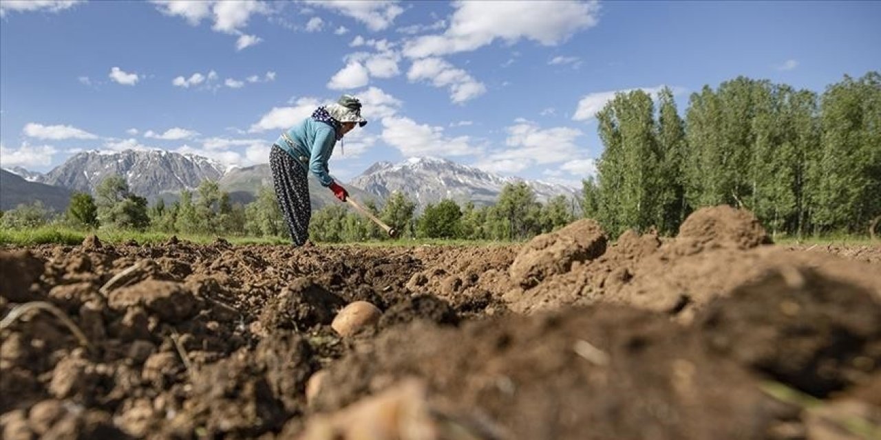 Çiftçilere destekleme ödemesi yapılacak