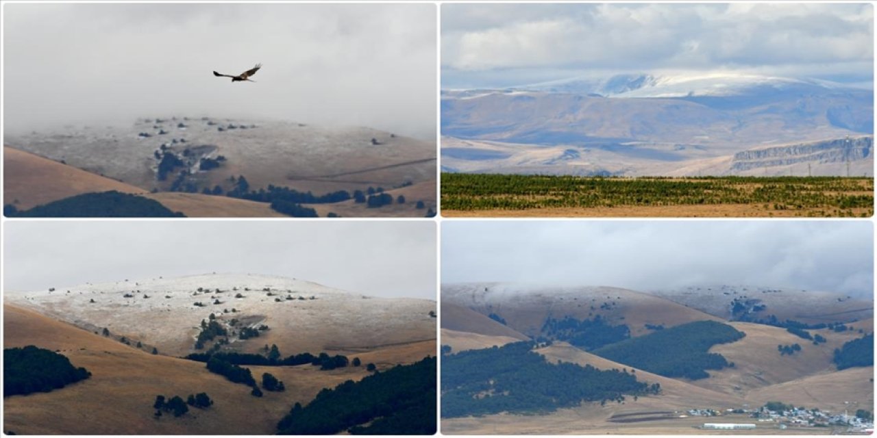 Sarıkamış'ın yüksek kesimlerine kar yağdı