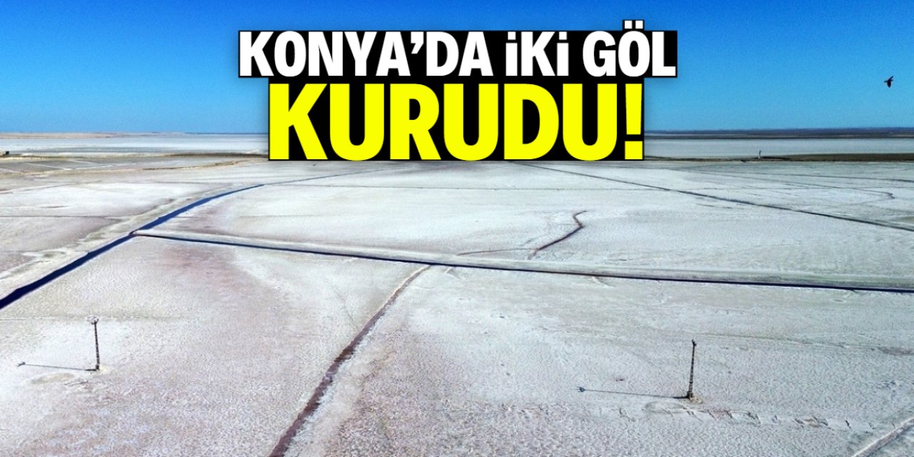 Konya'da iki göl kurudu! Geriye bu manzara kaldı