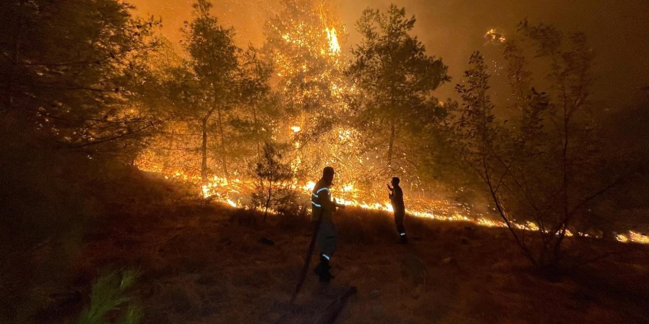 Muğla ve Antalya'da ormanlar kül oluyor