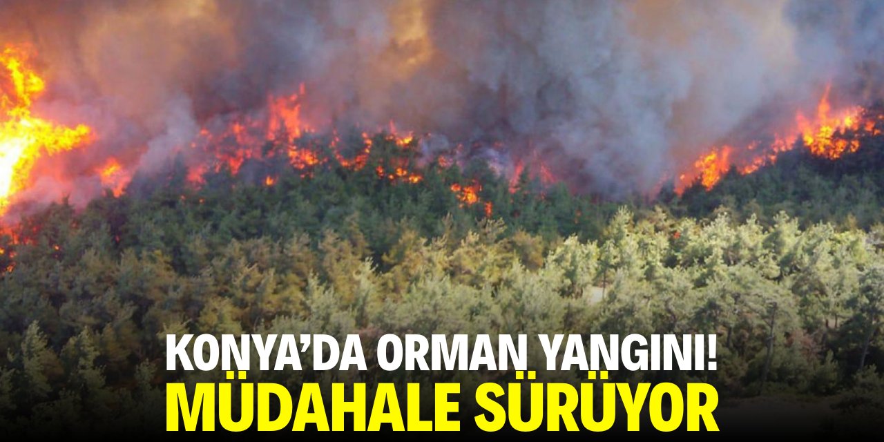 Konya'da orman yangını! Müdahale sürüyor