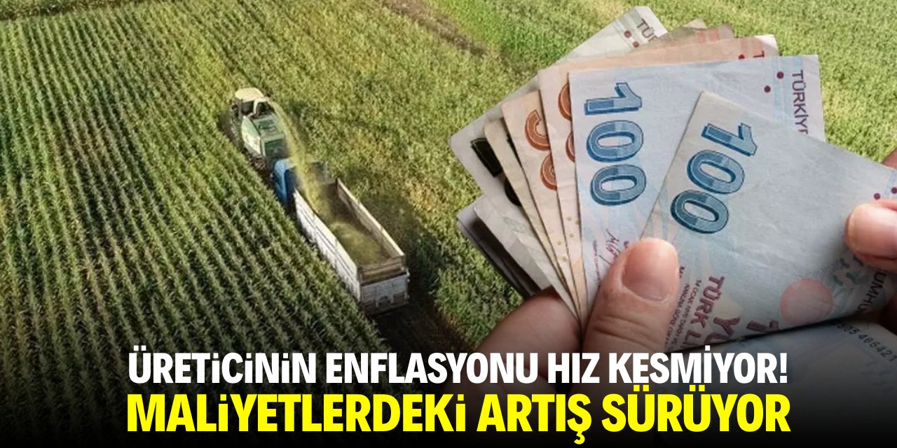 Üreticinin enflasyonu hız kesmiyor! Maliyetlerde artış sürüyor