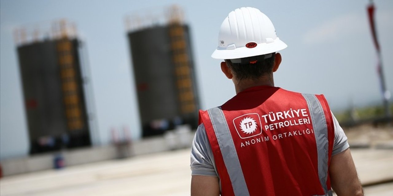 En yüksek ödenek TPAO'ya