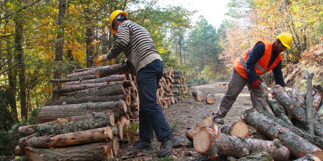 Orman Genel Müdürlüğü 262 daimi işçi alacak