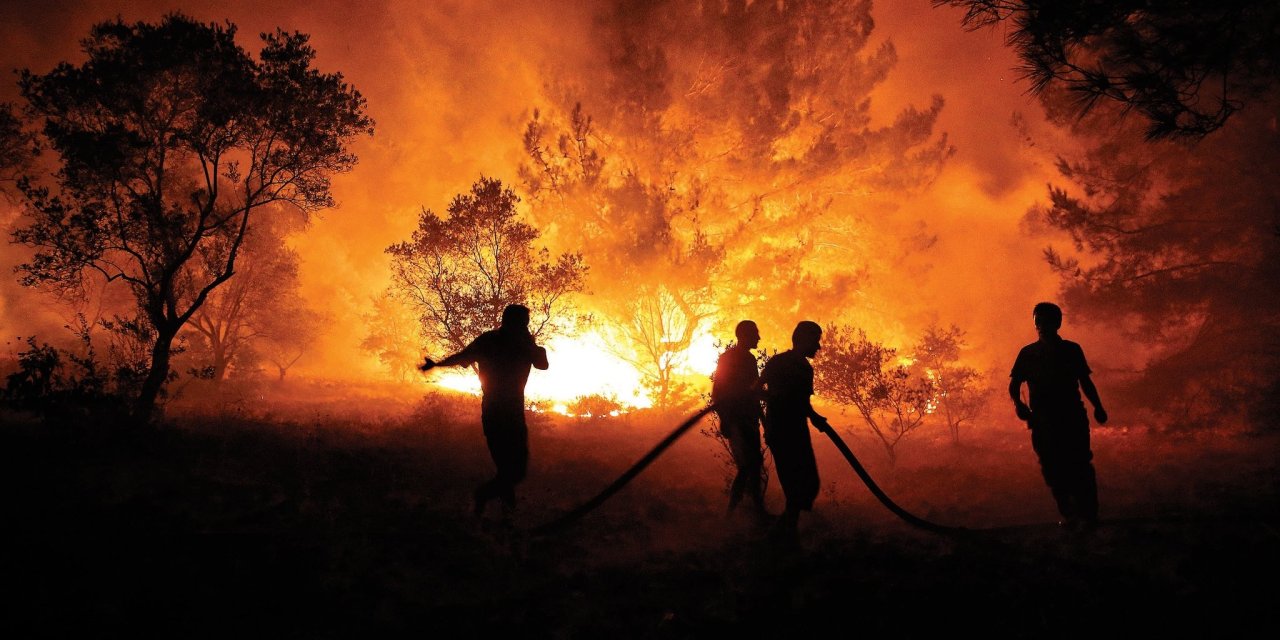 Türkiye'nin ormanları kül oluyor