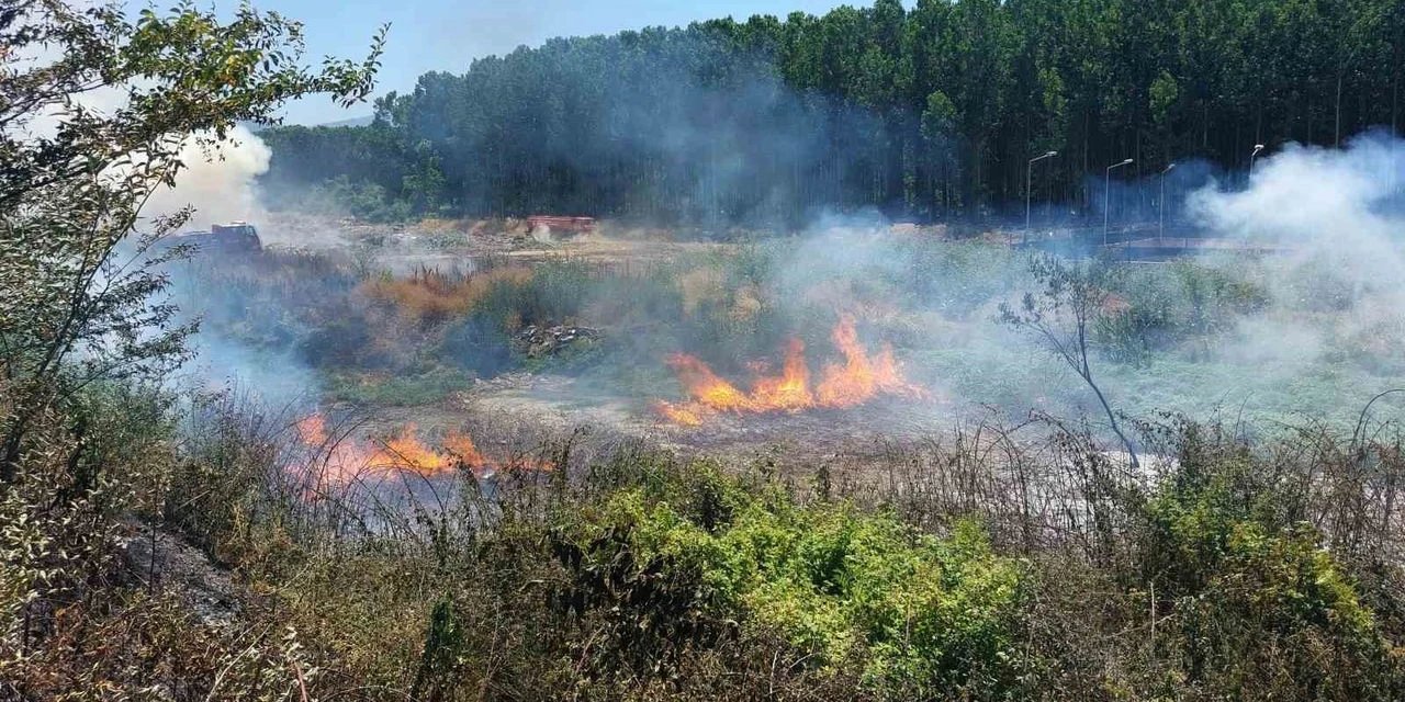 Ormanlık alanda çıkan yangın söndürüldü