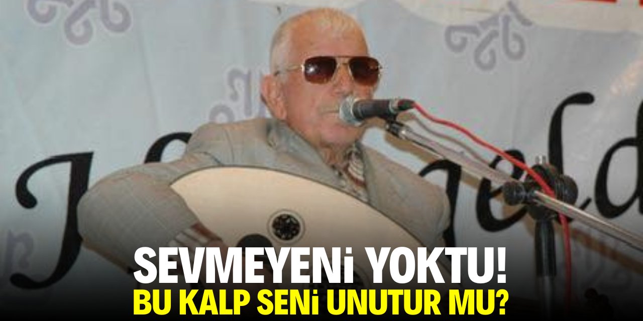 Sevmeyeni yoktu! Bu kalp seni unutur mu?