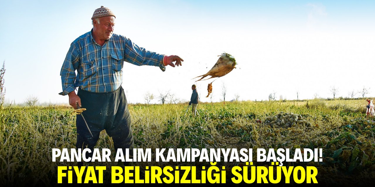 Pancar alım kampanyası başladı! Fiyat belirsizliği sürüyor