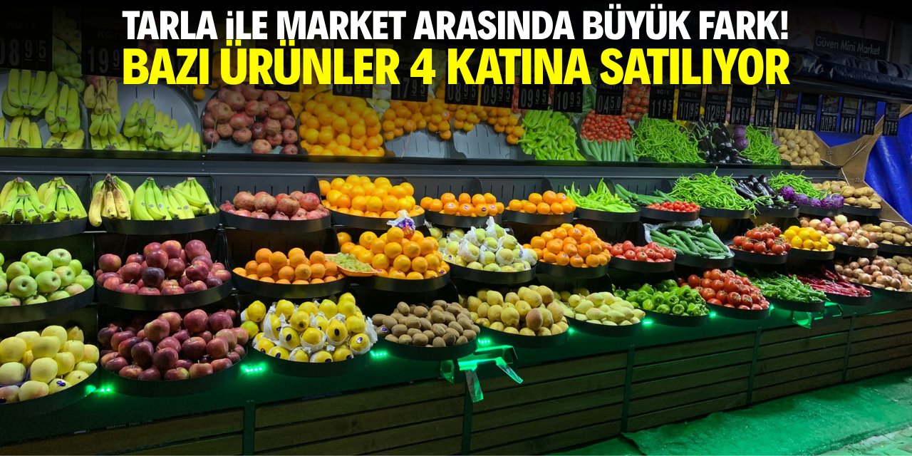 Tarla ile market arasındaki büyük fark! Bazı ürünler 4 katı fiyata satılıyor