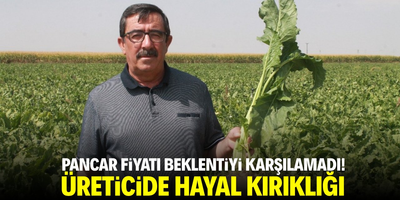 Pancar fiyatı çiftçinin hesabına uymadı!
