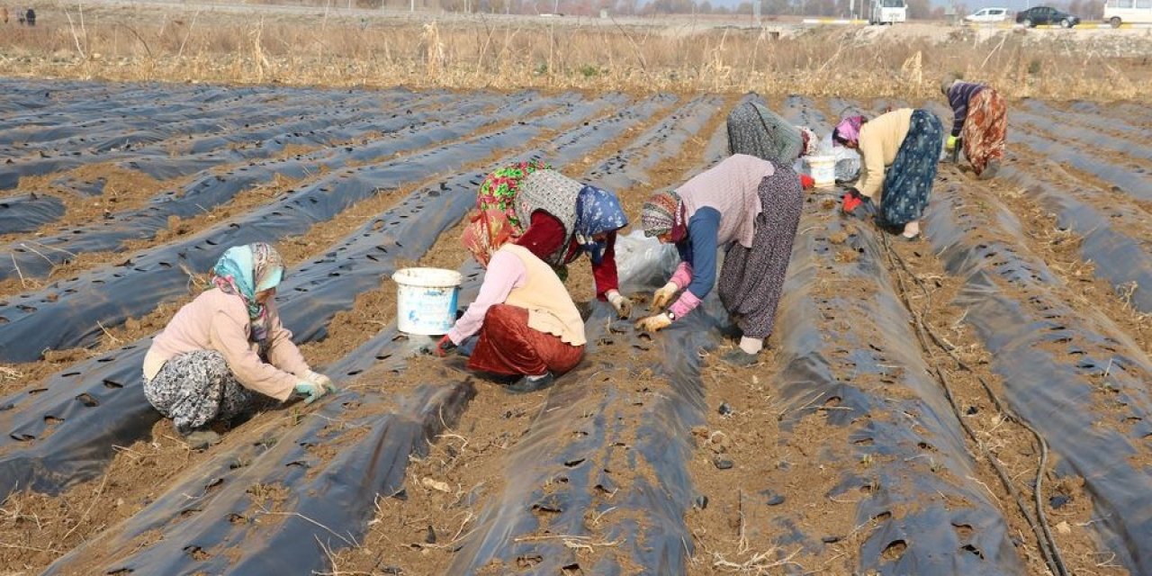 Beyşehir'de üreten kadınlara destek