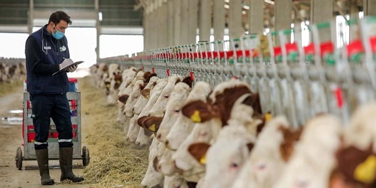 Rekabet Kurumu'ndan süt sektörüne uyarı