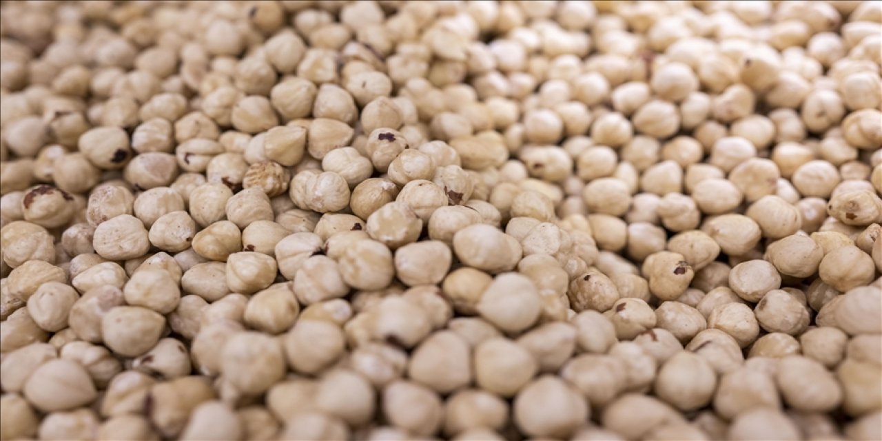 Türkiye fındık ihracat sezonunun ilk ayında 146 milyon doları aşkın gelir sağladı