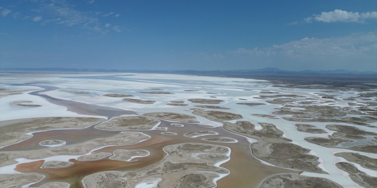Ankara, Konya ve Aksaray'ı ilgilendiren olay! Sayıları azalıyor