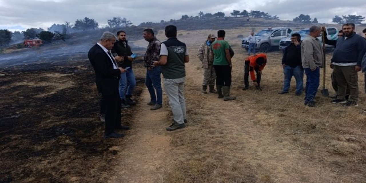Konya'da çıkan orman yangını söndürüldü