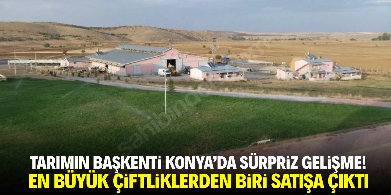 Üretim yapmak artık zor! Konya’nın en büyük besi çiftliklerinden biri satılıyor