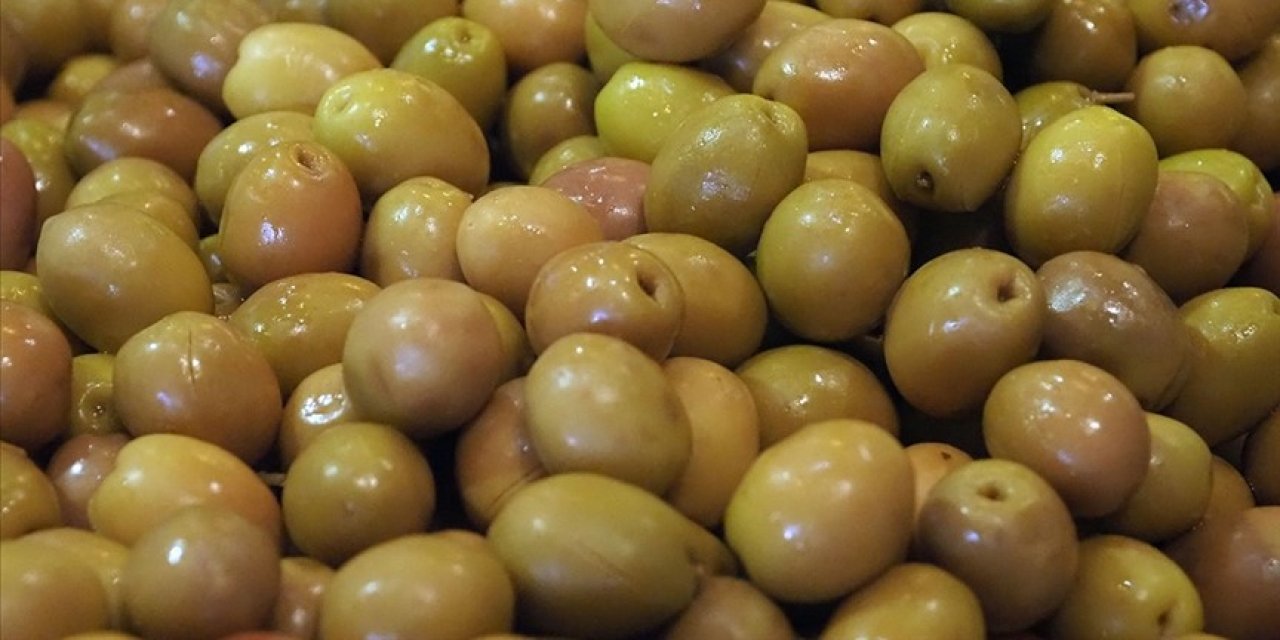Sofralık zeytin ihracatında rekor kırıldı