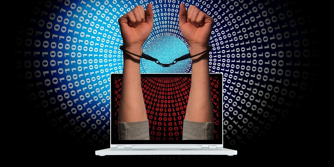 Siber suçlarla ilgili 567 şüpheli yakalandı