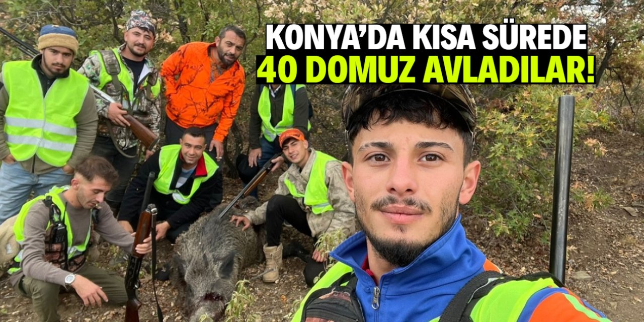 Konya'nın bu ilçesinde 40 domuz avlandı