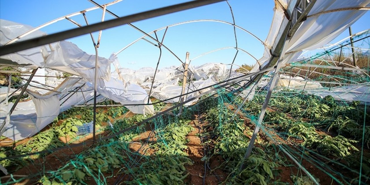 Devletin ödediği tazminat belli oldu