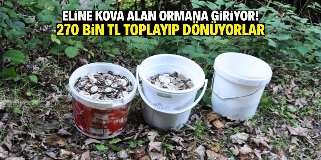 Eline kova alan ormana giriyor! Aylık maaşı 270 bin TL