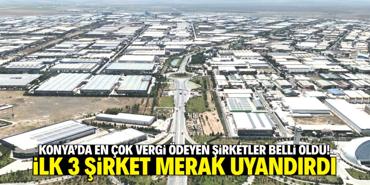 Konya'nın en çok vergi ödeyen 100 şirketi belli oldu! İlk 3 şirket merak uyandırdı