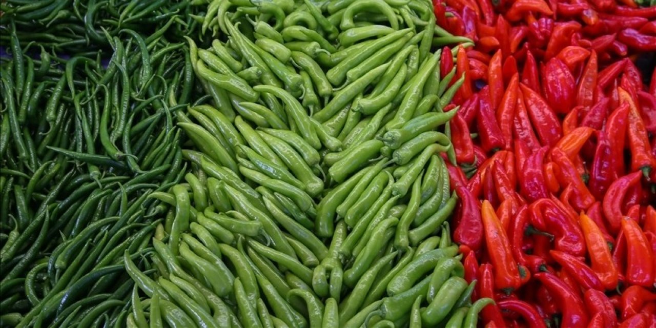 Türkiye'nin biber ihracatında rota aynı