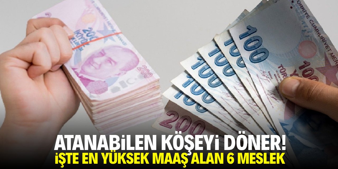 Atanabilen köşeyi döner! İşte en yüksek maaş alan 6 meslek