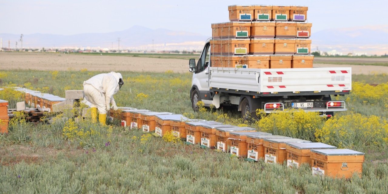 Selçuklu'dan arılı kovan desteği