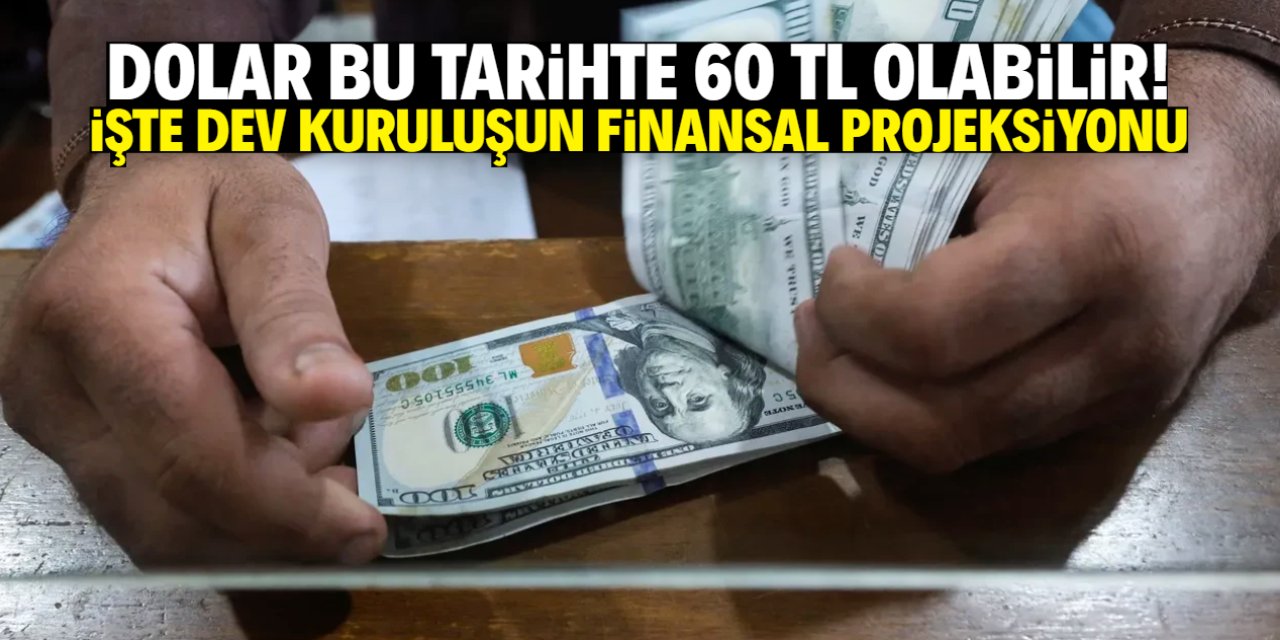 Dolar/TL finansal projeksiyona göre bu tarihte 60 TL olacak!