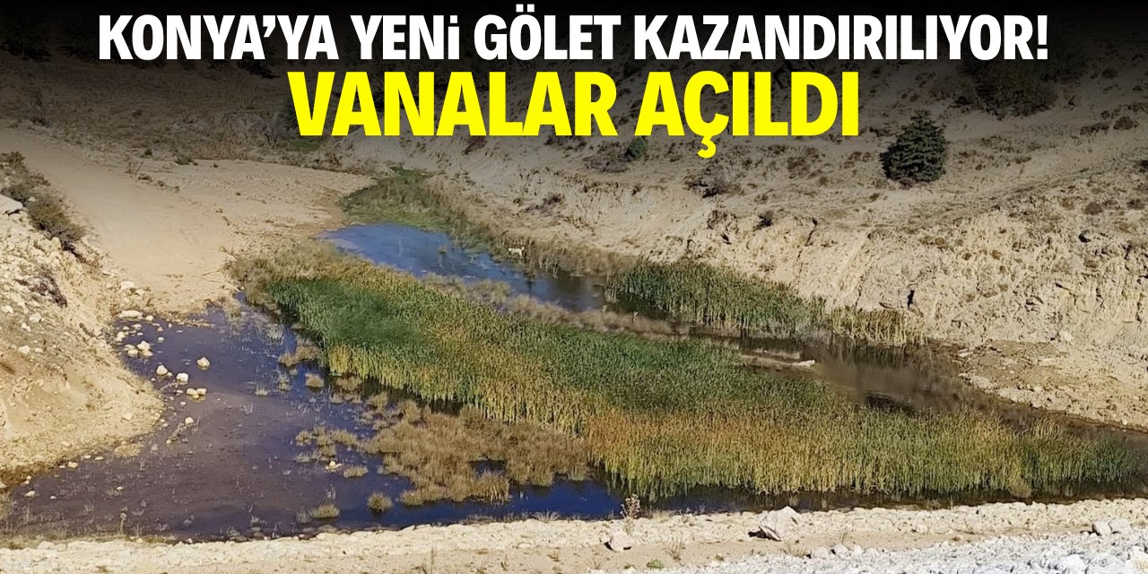 Muhtar ‘oltaları hazırlayın’ çağrısı yaptı: Konya’ya yeni gölet kazandırılıyor