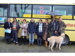 Veterinerler Şikayetçi Olunca Mobil Veteriner Kliniği Kapatıldı