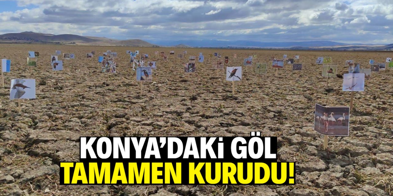 Çavuşçu Gölü tamamen kurudu