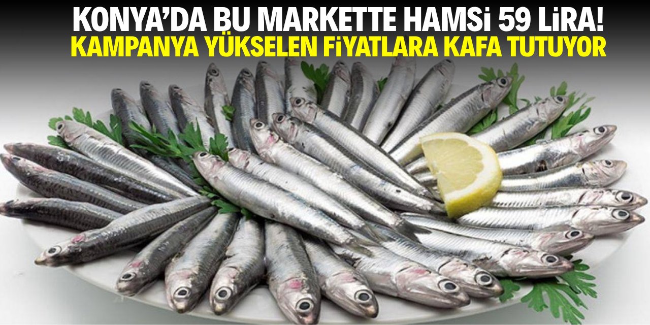 Konya'da kampanyalı hamsi yükselen fiyatlara kafa tuttu!