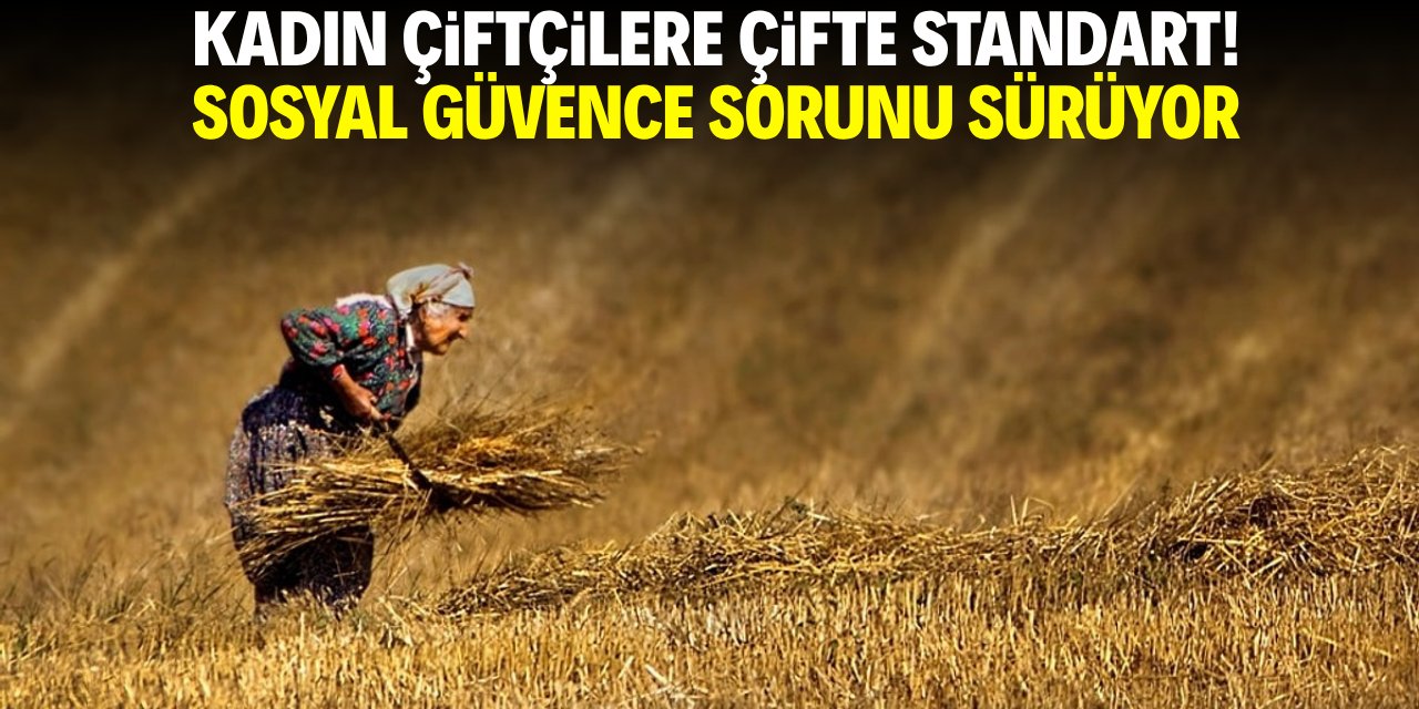 Kadın çiftçilere çifte standart! Sosyal güvence sorunu sürüyor