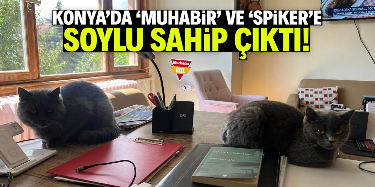 Konya'da 'Muhabir' ve 'Spiker' sokağa atıldı!
